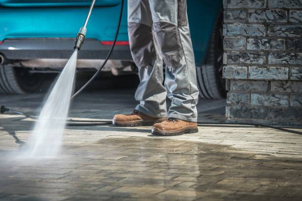 Best Building Exterior Washing  in Sheldon, IA