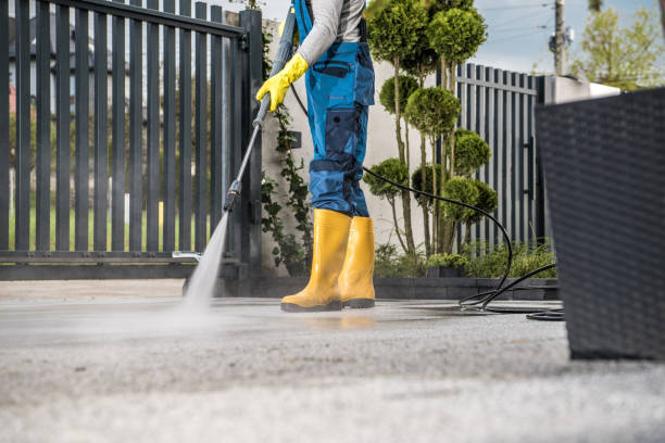 Best Fence Cleaning  in Sheldon, IA